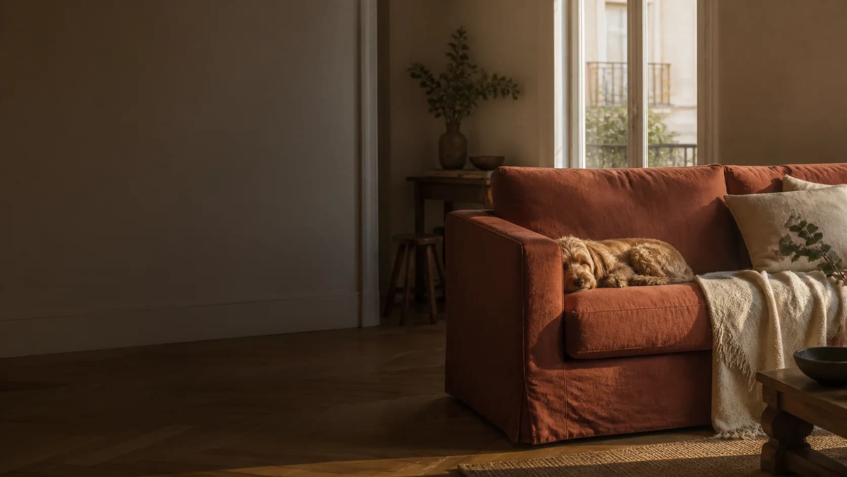 Chien endormi sur un canapé rouille dans un salon lumineux